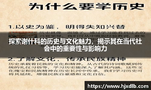 探索谢什科的历史与文化魅力，揭示其在当代社会中的重要性与影响力